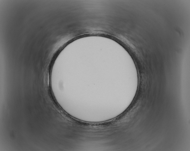 X0000111251269200907301319