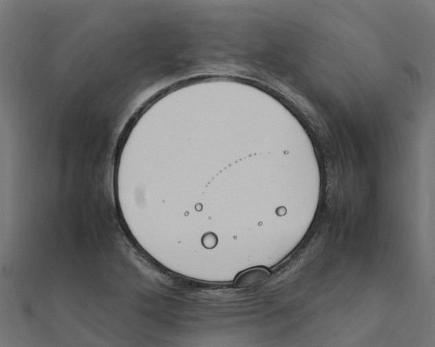 X0000111251272200907301319