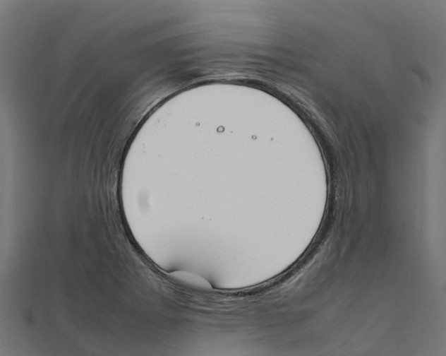 X0000111251273200907301319