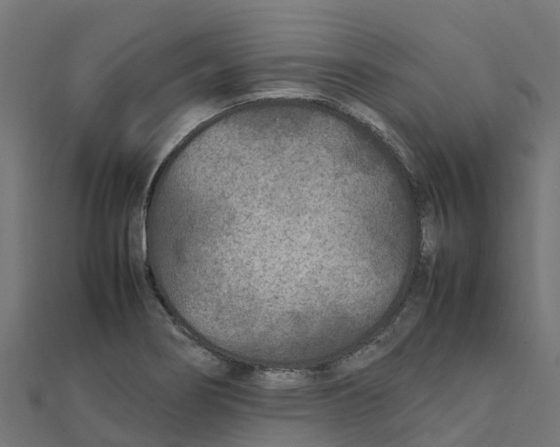 X0000111251274200907301319