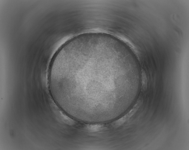 X0000111251278200907301319