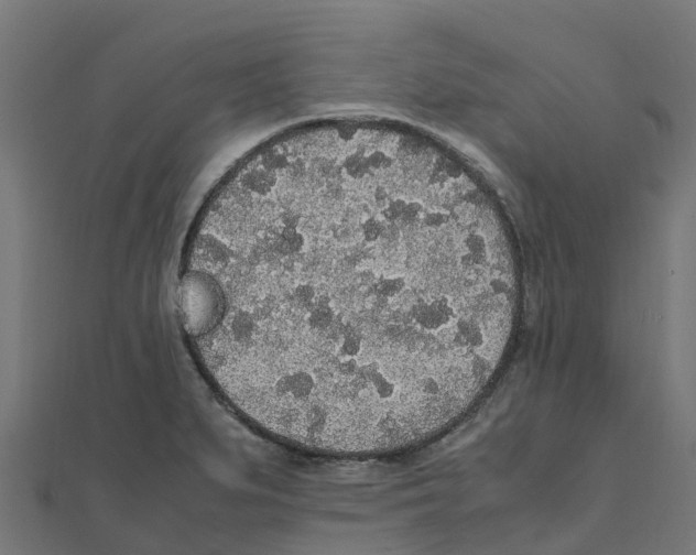 X0000111251279200907301319