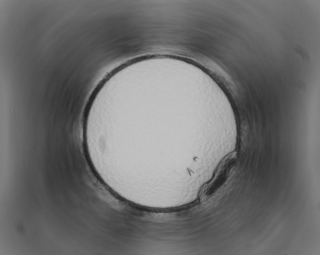 X0000111251280200907301319