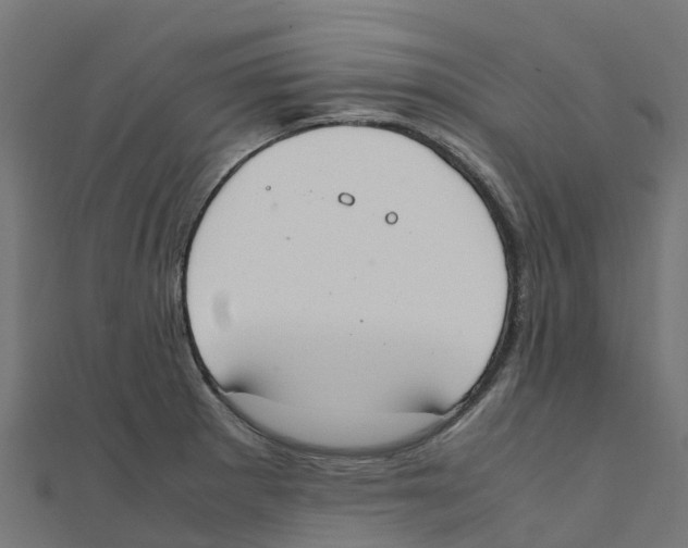 X0000111251281200907301319