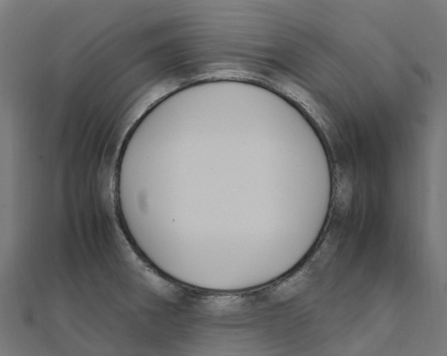 X0000111251282200907301319