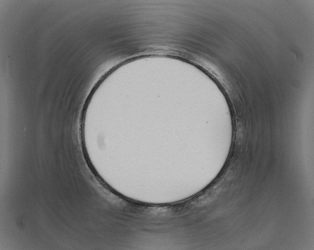 X0000111251283200907301319