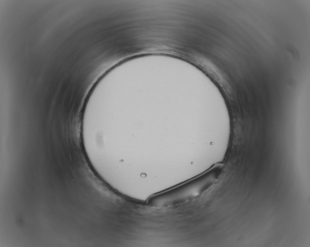 X0000111251284200907301319