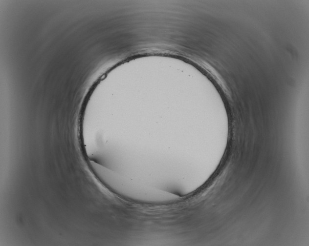 X0000111251285200907301319