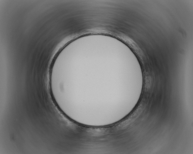 X0000111251286200907301319