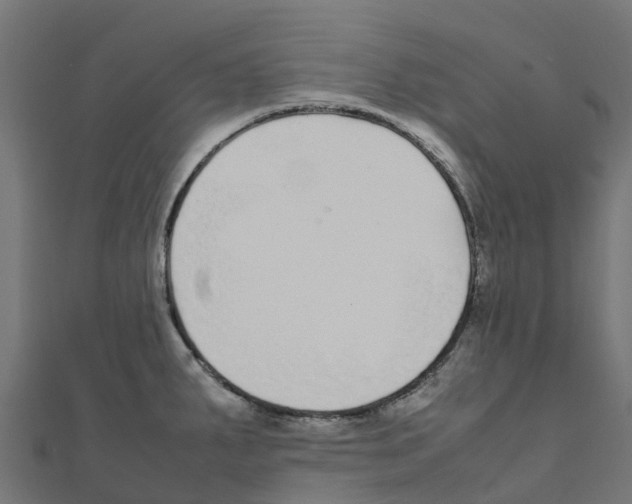 X0000111251287200907301319