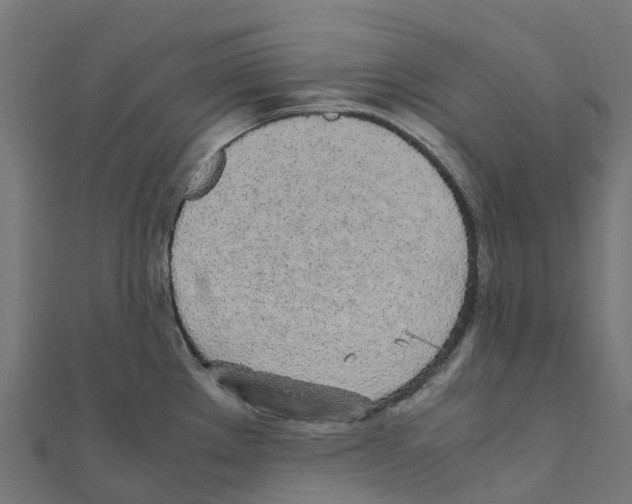 X0000111251289200907301319