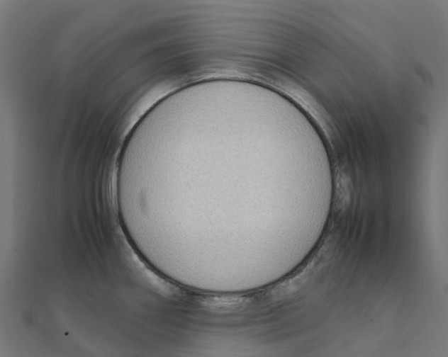 X0000111251290200907301319