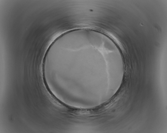 X0000111251291200907301319