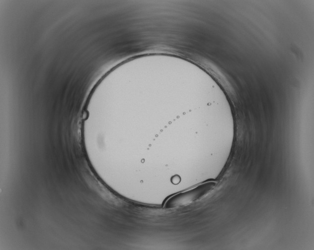 X0000111251292200907301319