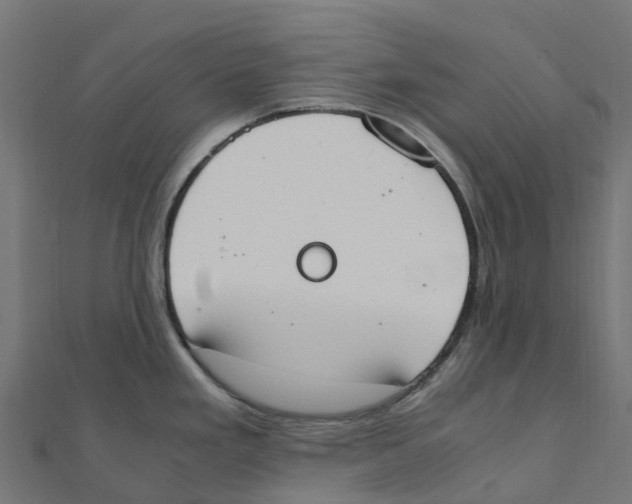 X0000111251293200907301319