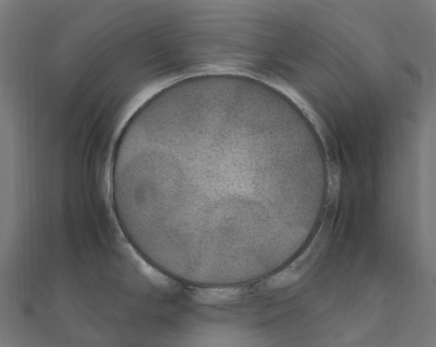 X0000111251294200907301319