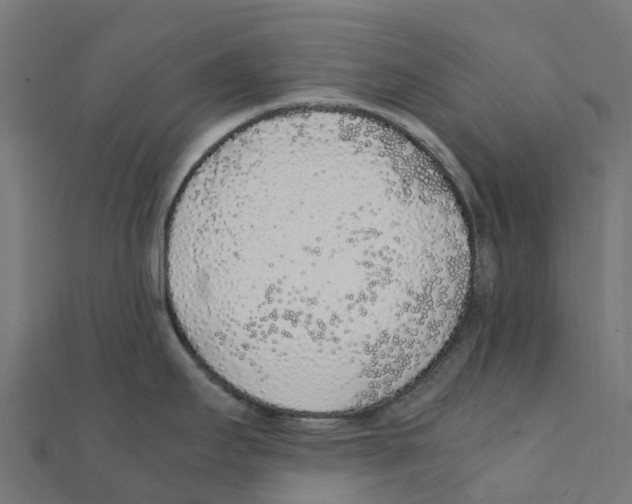 X0000111251295200907301319