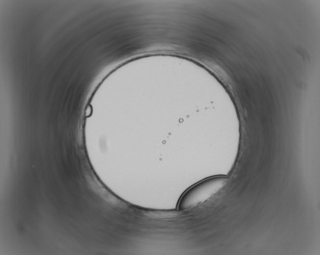 X0000111251296200907301319