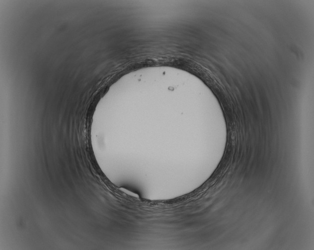 X0000111251298200907301318