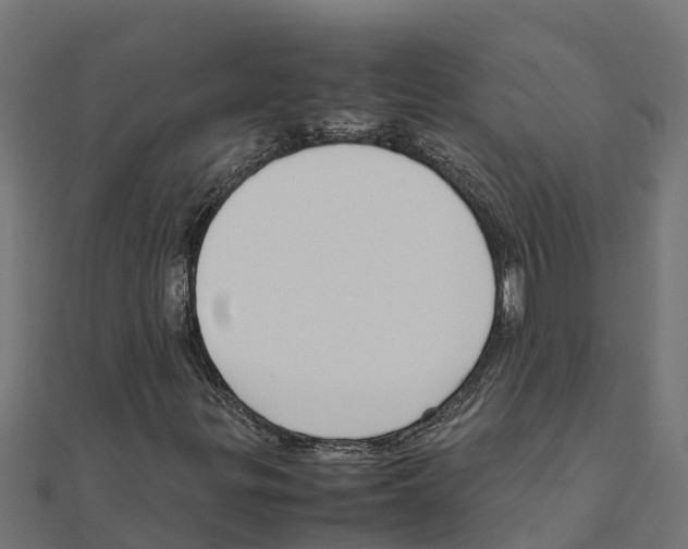 X0000111251299200907301318