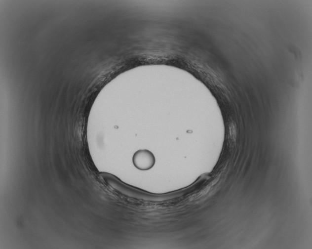 X0000111251300200907301318