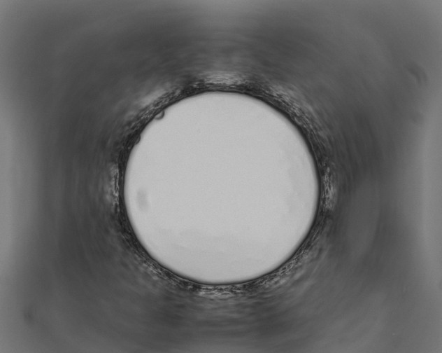 X0000111251301200907301318