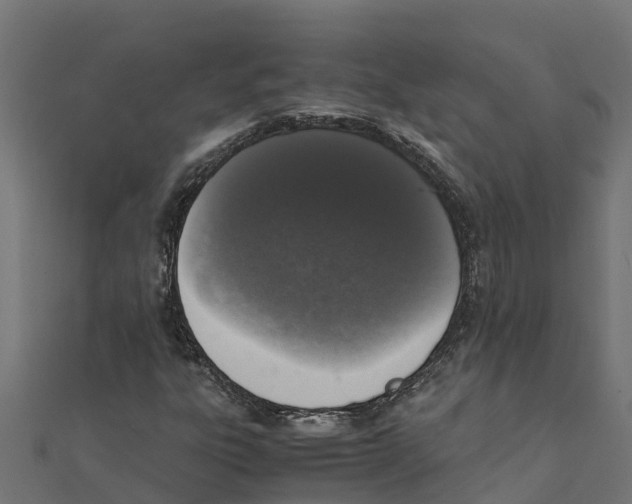 X0000111251303200907301318