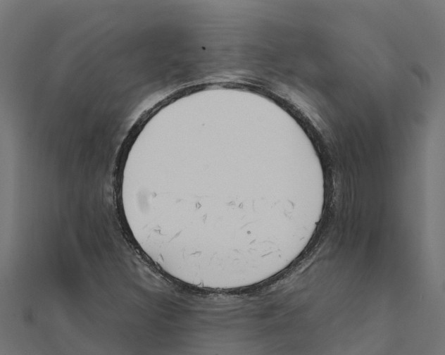 X0000111251308200907301319