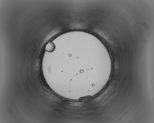 X0000111251309200907301319