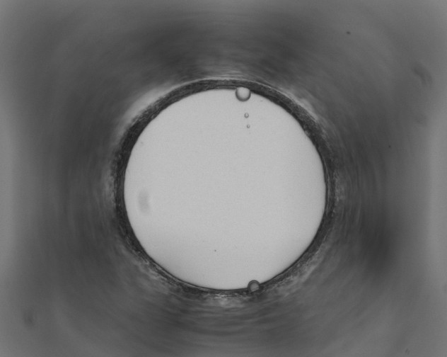 X0000111251311200907301319