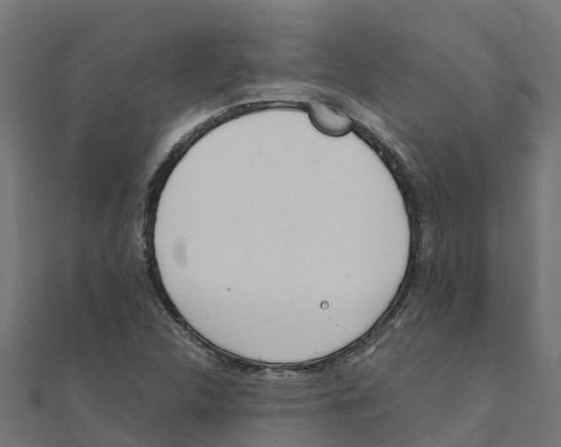 X0000111251312200907301319