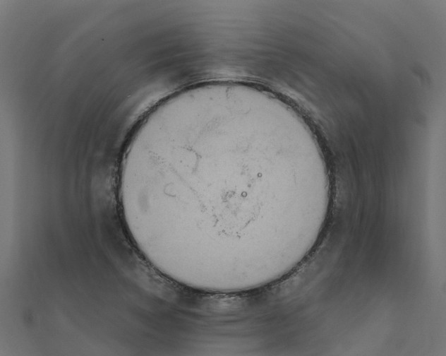 X0000111251314200907301319