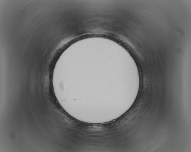 X0000111251315200907301319