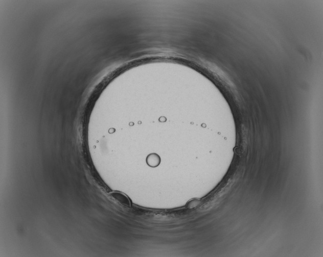 X0000111251318200907301319