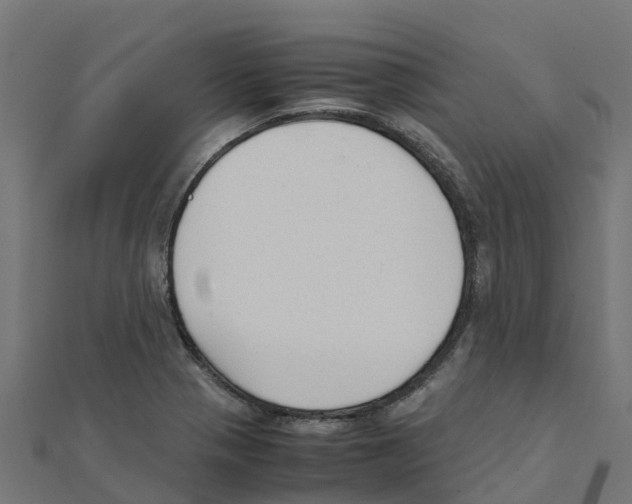 X0000111251321200907301319