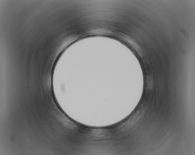 X0000111251322200907301319