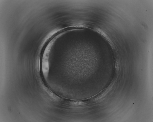 X0000111251323200907301319