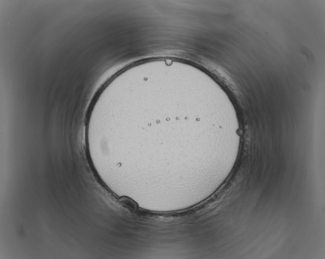 X0000111251324200907301319