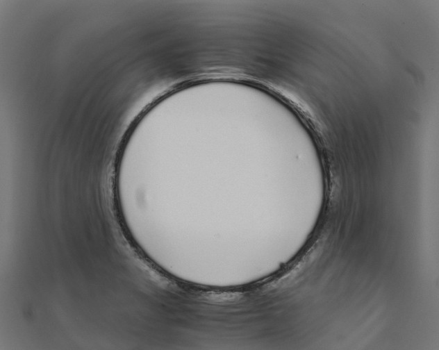 X0000111251325200907301319