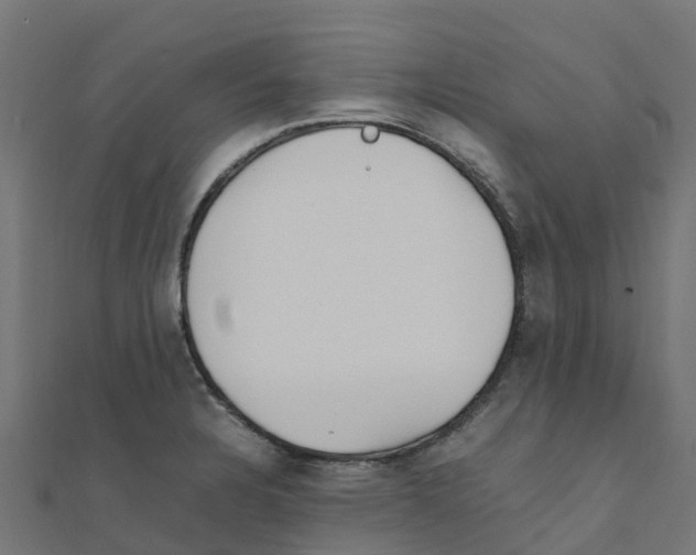 X0000111251328200907301319