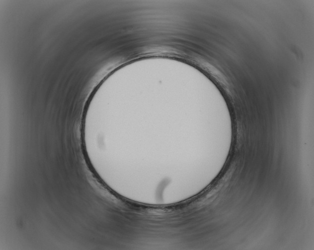 X0000111251330200907301319