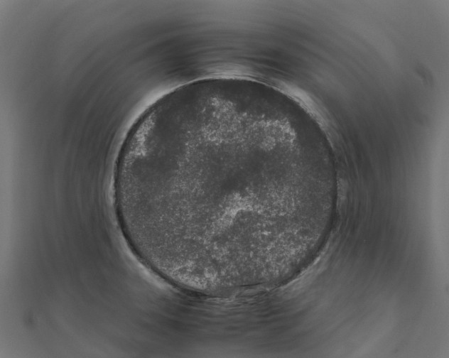 X0000111251331200907301319