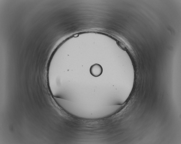 X0000111251332200907301319