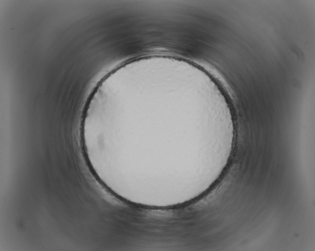 X0000111251333200907301319