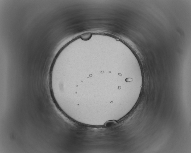 X0000111251335200907301319