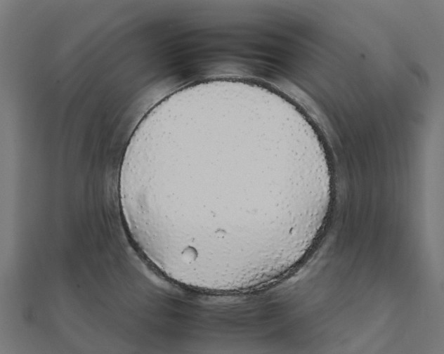 X0000111251337200907301319