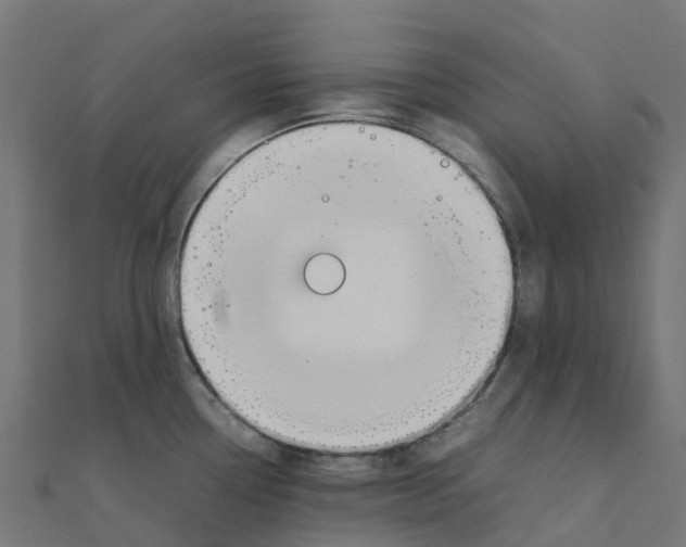 X0000111251338200907301319