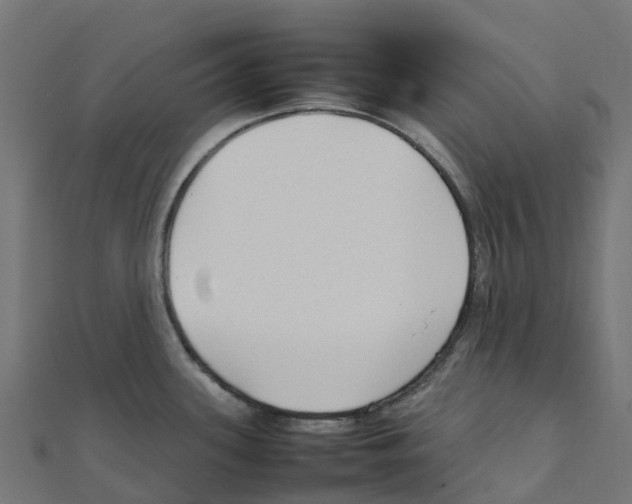 X0000111251339200907301319