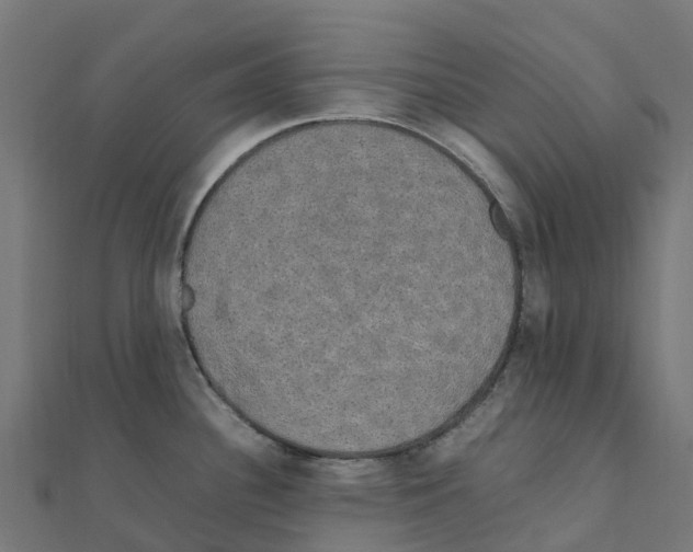 X0000111251340200907301319