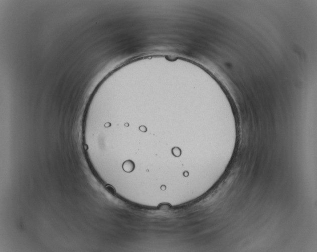 X0000111251341200907301319